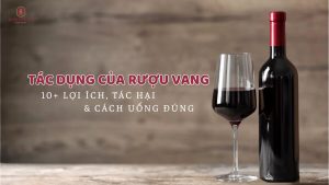 tac-dung-cua-ruou-vang
