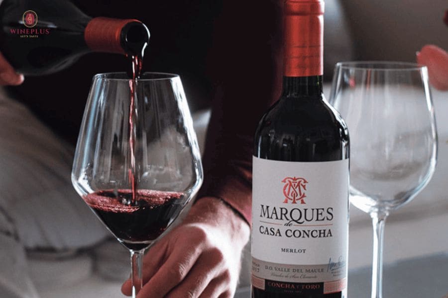 Rượu vang thở là gì? Cách cho vang thở và thời gian thở phù hợp 3 Cac-loai-vang-do-dam-nhieu-tannin-nen-cho-tho-truoc-khi-uong