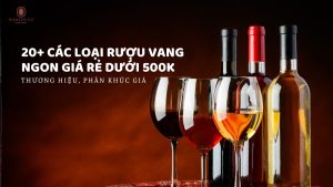 cac-loai-ruou-vang-ngon-gia-re