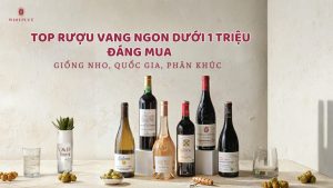 ruou-vang-ngon-gia-duoi-1-trieu