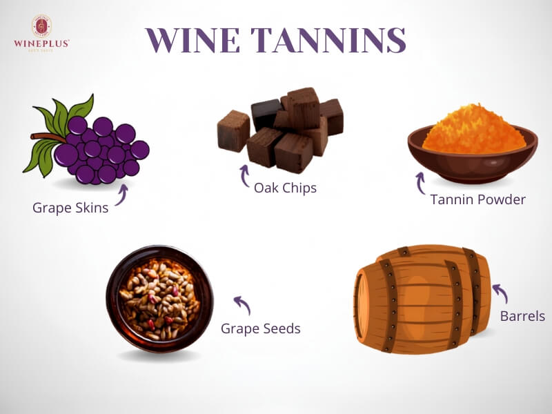Tannin là gì? Tác dụng, tác hại & Cách thưởng thức tannin trong rượu vang 2 tannin-den-tu-dau