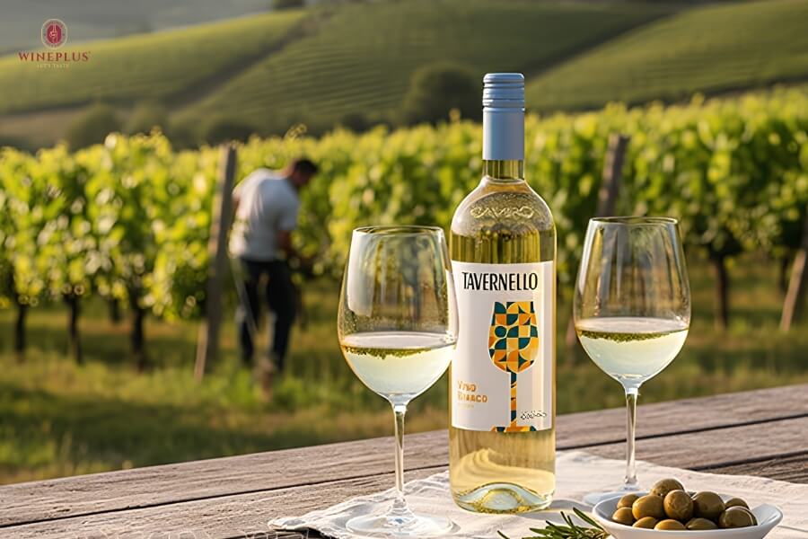 tavernello-vino-bianco-d’italia