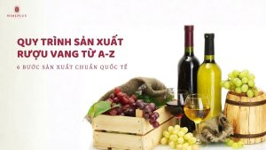 thumbnail-quy-trinh-san-xuat-ruou-vang