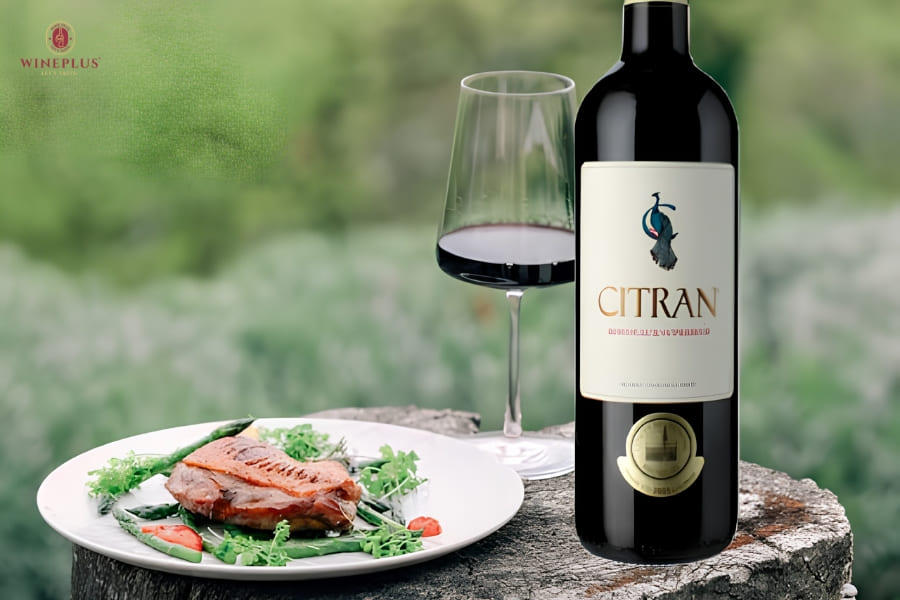 TOP 10+ chai rượu vang trắng ngon, dễ uống đáng thử nhất 2026 8 Chateau-Citran-Bordeaux-Blanc-so-huu-phong-cach-thanh-lich-voi-huong-trai-cay-va-hoa-trang-tinh-te