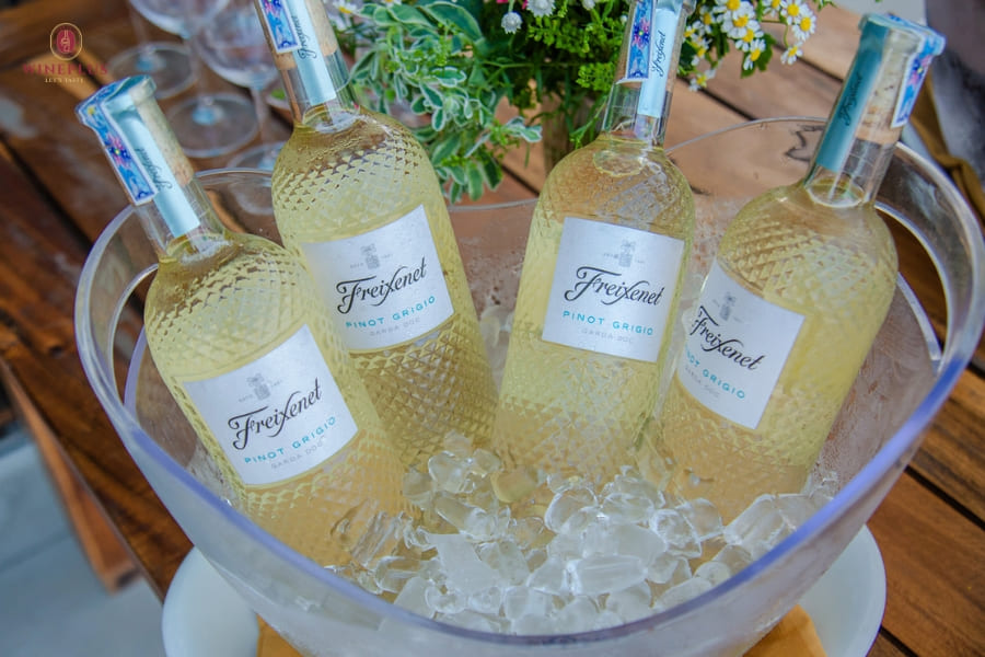 TOP 10+ chai rượu vang trắng ngon, dễ uống đáng thử nhất 2026 11 Freixenet-Pinot-Grigio-mang-phong-cach-nhe-nhang-voi-huong-le-va-tao-xanh-tuoi-mat