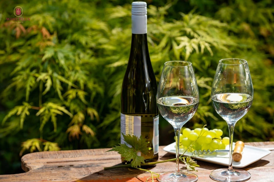 Các loại vang trắng phổ biến: Đặc điểm, hương vị & cách chọn 4 Riesling-mang-huong-hoa-va-trai-cay-thanh-lich-voi-kha-nang-can-bang-vi-ngot-va-do-chua-rat-tot