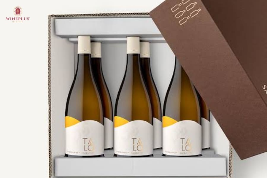 TOP 10+ chai rượu vang trắng ngon, dễ uống đáng thử nhất 2026 9 Talo-Chardonnay-Puglia-IGP-co-huong-trai-cay-chin-hai-hoa-cung-hau-vi-mem-mai