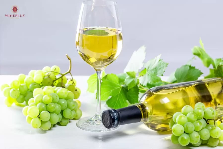 Vang đỏ và vang trắng: 8 tiêu chí phân biệt cơ bản và cách chọn 2 Vang-trang-lam-tu-nho-xanh-hoac-vang-voi-huong-vi-tuoi-mat-va-do-axit-noi-bat