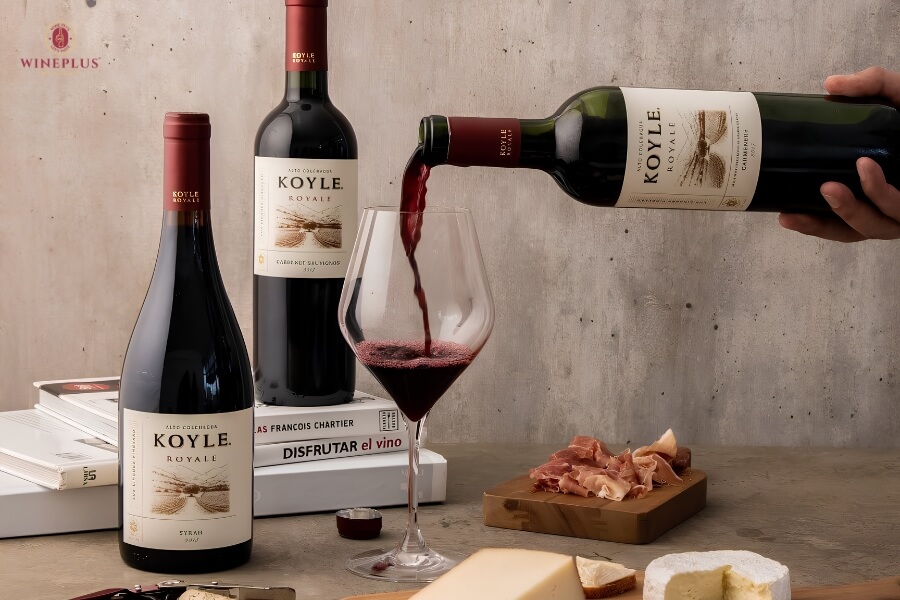 TOP 16+ chai rượu vang đỏ ngon hàng đầu & cách chọn đúng chuẩn 16 koyle-royale
