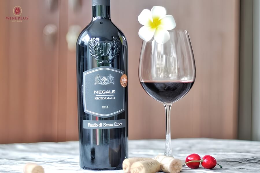 TOP 16+ chai rượu vang đỏ ngon hàng đầu & cách chọn đúng chuẩn 7 megale-negroamaro-salento
