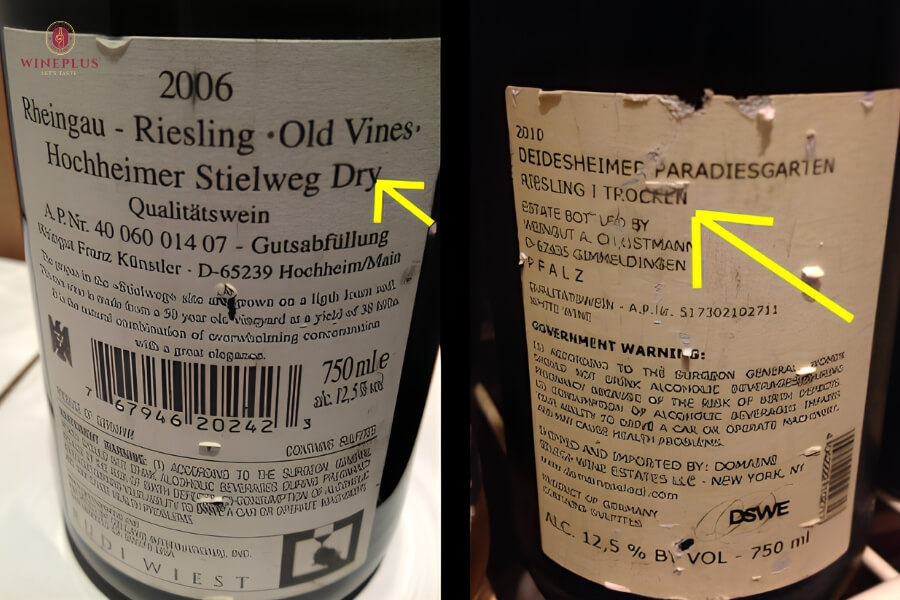Dry wine là gì? Đặc điểm, lợi ích, TOP 6+ chai vang khô nổi bật 2026 2 nhan-biet-ruou-vang-kho-qua-nhan-chai