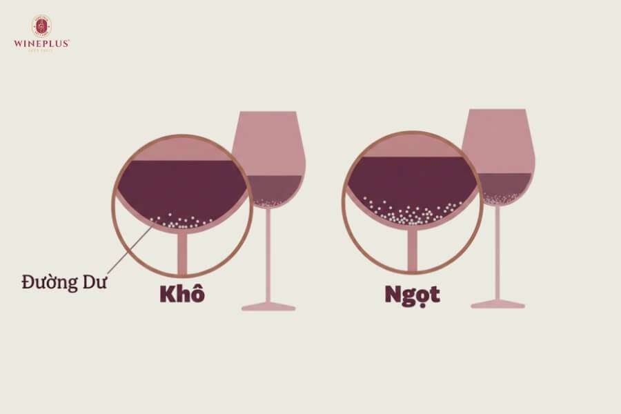 Dry wine là gì? Đặc điểm, lợi ích, TOP 6+ chai vang khô nổi bật 2026 1 ruou-vang-kho