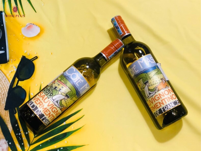 Cẩm nang tìm hiểu về rượu vang Pháp: Từ nhập môn đến sành sỏi 10 ruou-vang-phap-cote-mas-sauvignon-vermentino-1