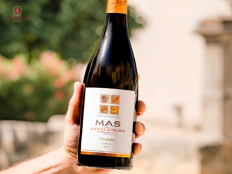Cẩm nang tìm hiểu về rượu vang Pháp: Từ nhập môn đến sành sỏi 9 ruou-vang-phap-cote-mas-sauvignon-vermentino
