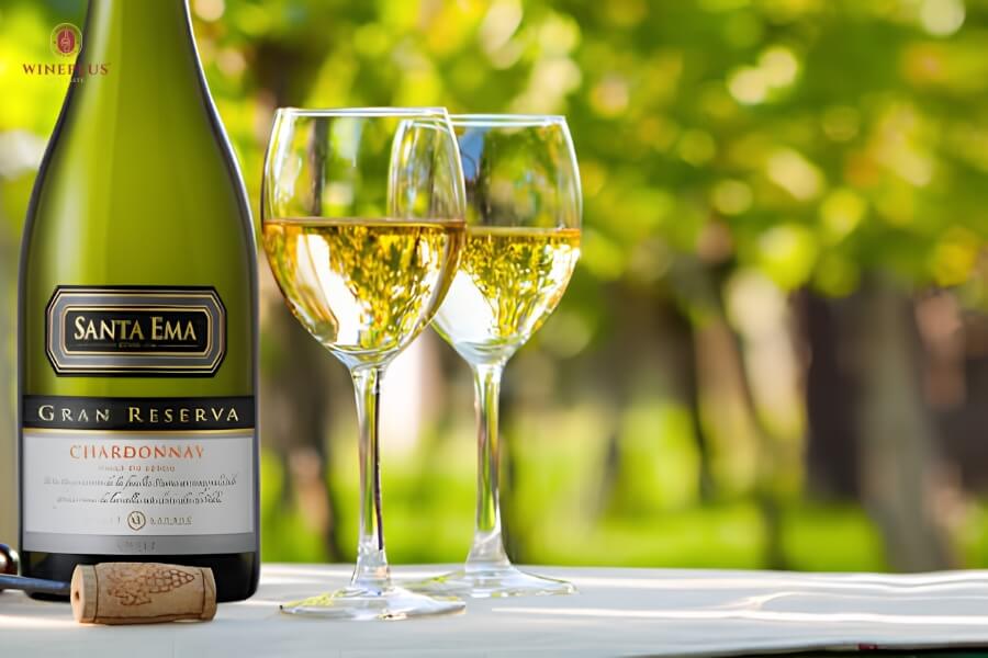 TOP 16+ chai rượu vang đỏ ngon hàng đầu & cách chọn đúng chuẩn 10 santa-ema-gran-reserva