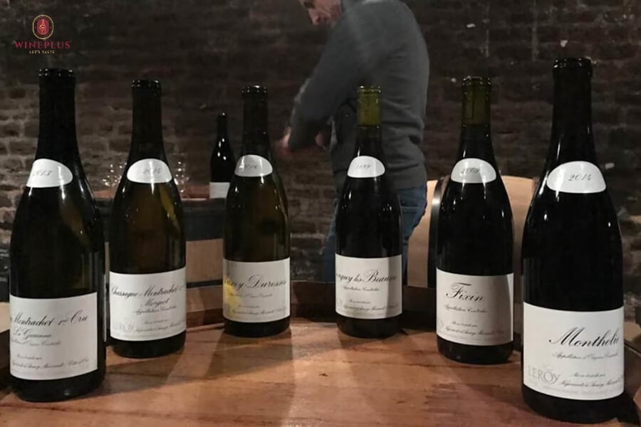 Top 18+ các loại rượu vang Pháp nổi tiếng & bảng giá MỚI NHẤT 2026 5 thuong-hieu-domaine-leroy