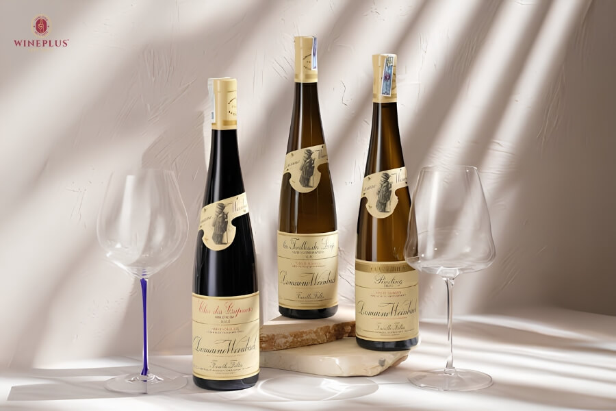 Top 18+ các loại rượu vang Pháp nổi tiếng & bảng giá MỚI NHẤT 2026 17 thuong-hieu-domaine-weinbach