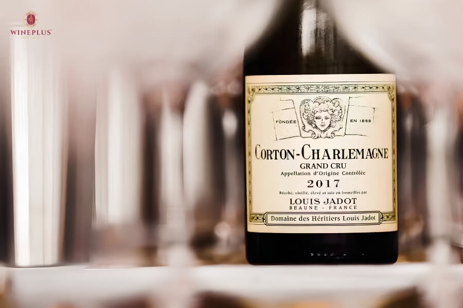 Top 18+ các loại rượu vang Pháp nổi tiếng & bảng giá MỚI NHẤT 2026 6 thuong-hieu-maison-louis-jadot