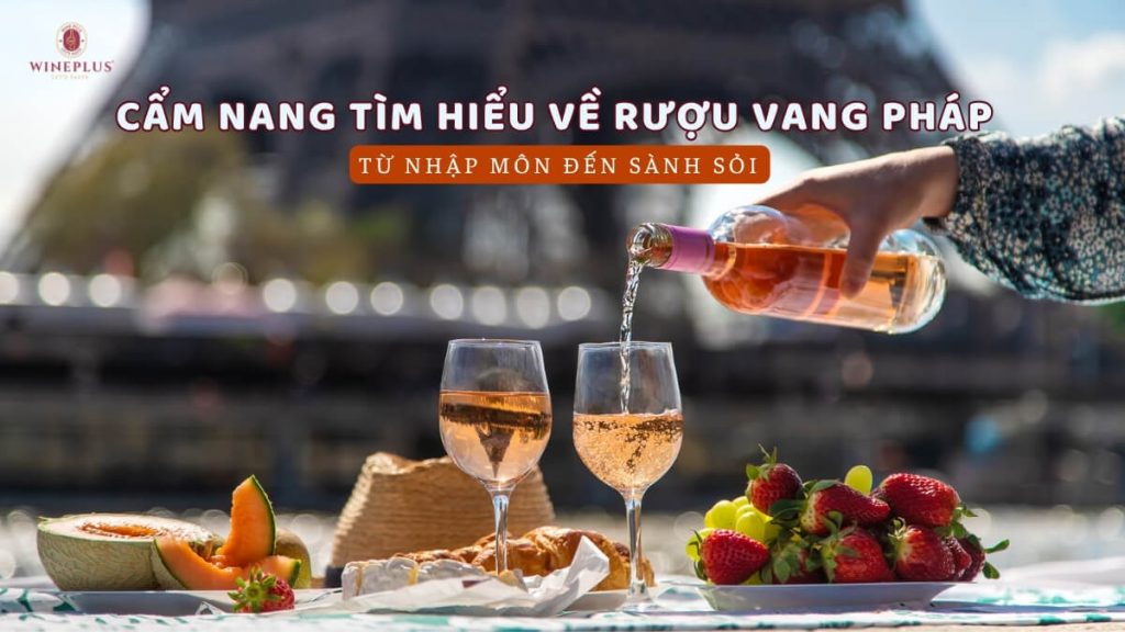 Cẩm nang tìm hiểu về rượu vang Pháp: Từ nhập môn đến sành sỏi 23 tim-hieu-ve-ruou-vang-phap