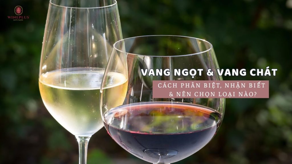 Vang ngọt và vang chát: Cách phân biệt, nhận biết & nên chọn loại nào? 42 vang-ngot-va-vang-chat