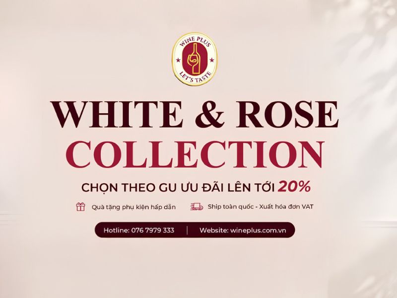 wine-plus-ban-ruou-vang-phap
