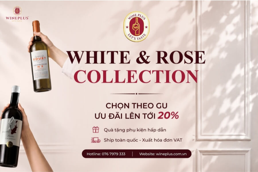 Rượu vang nấu ăn: Nguyên tắc, Công dụng & TOP 6+ dòng vang nổi bật 11 wine-plus-ban-ruou-vang