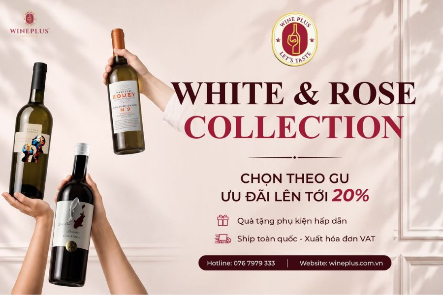 Top 17+ chai rượu vang ngọt cho phụ nữ dễ uống, sang trọng 2026 19 wine-plus-ban-vang-ngot-cho-phu-nu